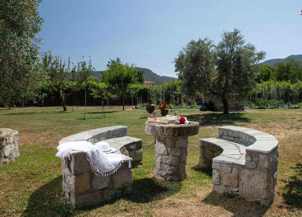 Villa Tsitreli Sykia Chalkidikis Exterior photo
