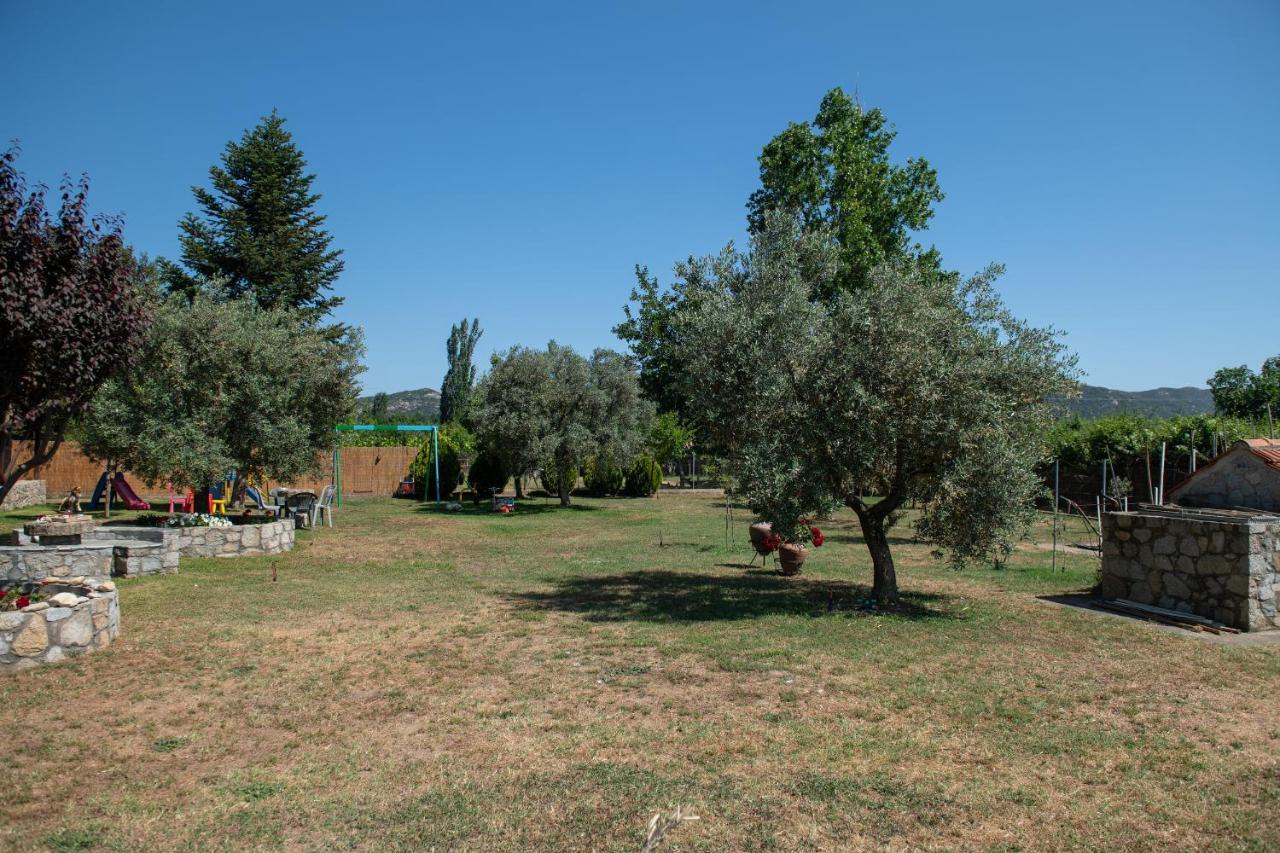 Villa Tsitreli Sykia Chalkidikis Exterior photo