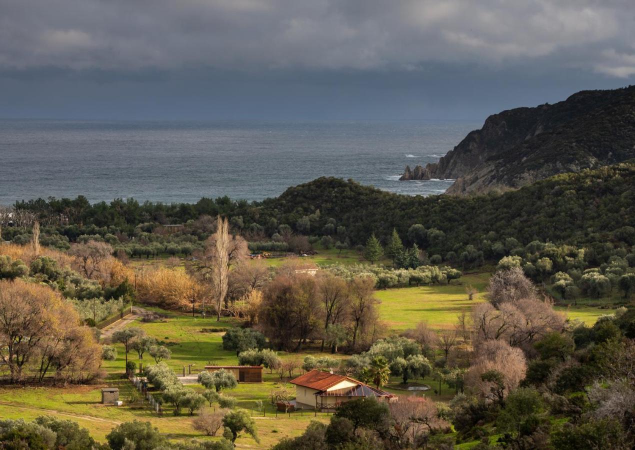 Villa Tsitreli Sykia Chalkidikis Exterior photo